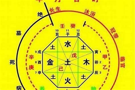 喜神 木|八字喜用神是什么 八字喜用神如何确定